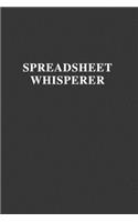 Spreadsheet Whisperer
