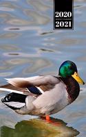 Duck Geese Goose Mallard Duckling Week Planner Weekly Organizer Calendar 2020 / 2021 - Standing in Water