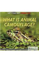 What Is Animal Camouflage?