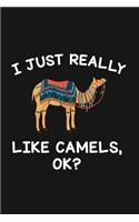 I Just Really Like Camels Ok: Blank Lined Notebook To Write In For Notes, To Do Lists, Notepad, Journal, Funny Gifts For Camels Lover