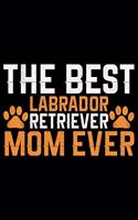 The Best Labrador Retriever Mom Ever