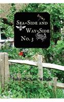 Sea-Side and Way-Side No. 3