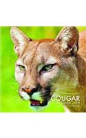 Cougar Calendar 2019