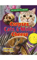Corpses, Cats, and Moldy Cheese