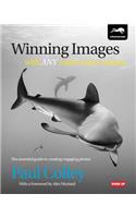 Winning Images with Any Underwater Camera