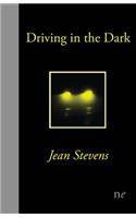 Driving in the Dark