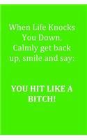 Funny Journal, Notebook, WHEN LIFE KNOCKS YOU DOWN, CALMLY GET BACK UP SMILE AND SAY YOU HIT LIKE A BITCH Notebook, Affirmation Positive Notebook, Diary, Workbook