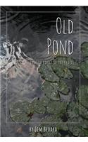 Old Pond