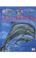 Dauphins