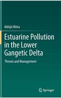 Estuarine Pollution in the Lower Gangetic Delta