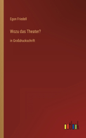 Wozu das Theater?