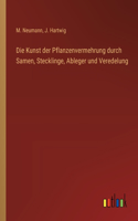 Die Kunst der Pflanzenvermehrung durch Samen, Stecklinge, Ableger und Veredelung
