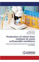 Production of Wheat Lines Resistant to Some Unfavorable Conditions