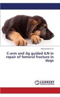 C-Arm and Jig Guided Iln in Repair of Femoral Fracture in Dogs