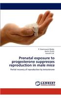Prenatal exposure to progesterone suppresses reproduction in male mice