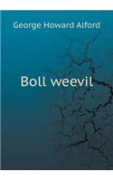 Boll Weevil