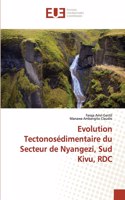 Evolution Tectonosédimentaire du Secteur de Nyangezi, Sud Kivu, RDC