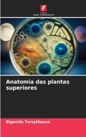 Anatomia das plantas superiores