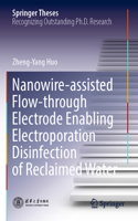 Nanowire-Assisted Flow-Through Electrode Enabling Electroporation Disinfection of Reclaimed Water