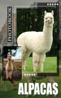 Alpacas Photo Book: 40 Adorable Images Of Cute Alpacas For Animal Lovers And Enthusiasts