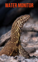 Water Monitor: Learn About Water Monitor and Enjoy Colorful Pictures