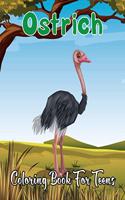 Ostrich Coloring Book for Teens: An Amazing Ostrich Coloring Book For Ostrich Lovers ( Adults Coloring Book ) Volume-1