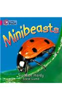 Minibeasts Workbook