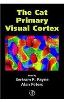 Cat Primary Visual Cortex