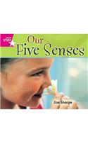 Rigby Star Guided Quest: Pink Level: Our Five Senses: (STARQUEST)