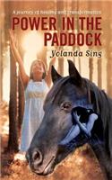 Power in the Paddock: A journey of healing and transformation