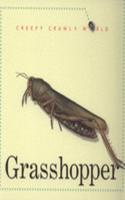 Grasshopper: (4 Creepy, Crawly World)