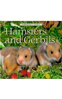 Hamsters and Gerbils