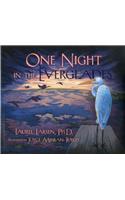 One Night in the Everglades