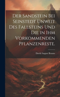 Sandstein bei Seinstedt unweit des Fallsteins und die in ihm vorkommenden Pflanzenreste.