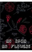 No rain no flowers
