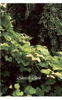 Green Leaves Sketch Book