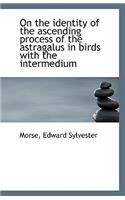 On the Identity of the Ascending Process of the Astragalus in Birds with the Intermedium