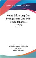 Kurze Erklarung Des Evangeliums Und Der Briefe Johannis (1852)