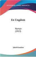 En Ungdom: Roman (1913)