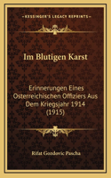 Im Blutigen Karst: Erinnerungen Eines Osterreichischen Offiziers Aus Dem Kriegsjahr 1914 (1915)