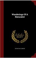 Wanderings Of A Naturalist