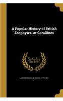 A Popular History of British Zoophytes, or Corallines