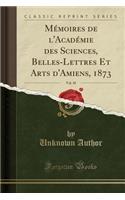 Mï¿½moires de l'Acadï¿½mie Des Sciences, Belles-Lettres Et Arts d'Amiens, 1873, Vol. 10 (Classic Reprint)