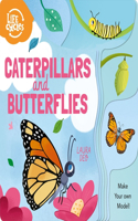 Caterpillars and Butterflies