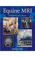 Equine MRI