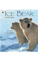 Ice Bear