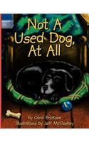 Not A Used Dog, At All