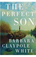 Perfect Son