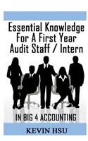 Essential Knowledge for a First Year Audit Staff/Intern in Big 4 Accounting