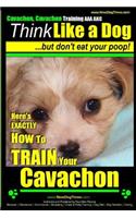 Cavachon, Cavachon Training AAA Akc - Think Like a Dog, But Don't Eat Your Poop!